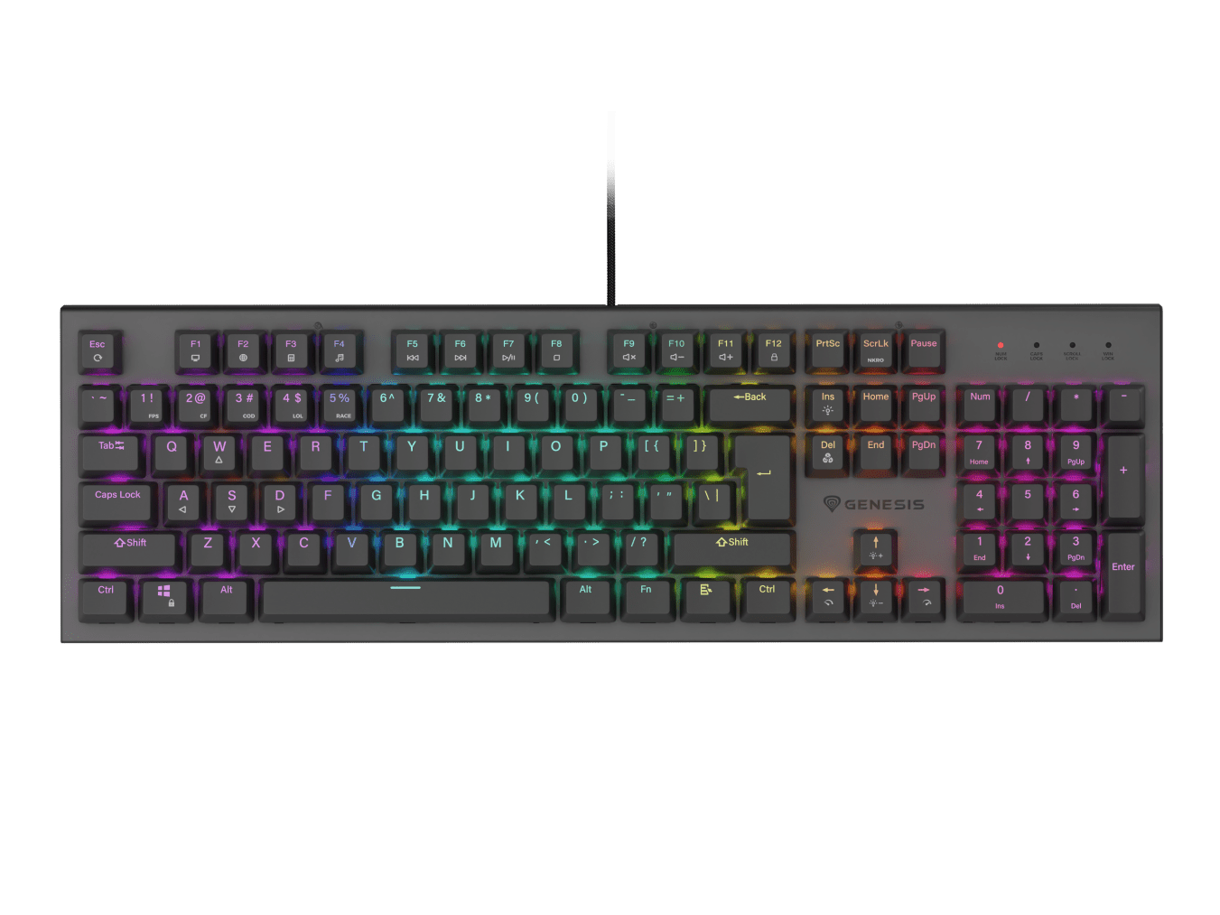 Genesis Thor 303
