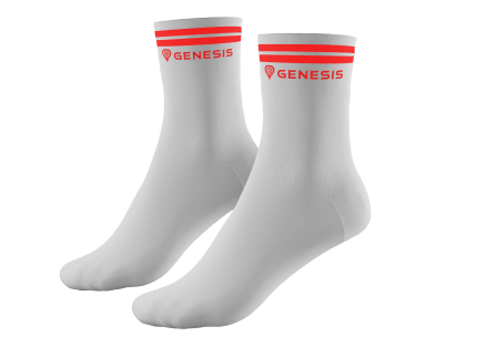Genesis Спортивні шкарпетки